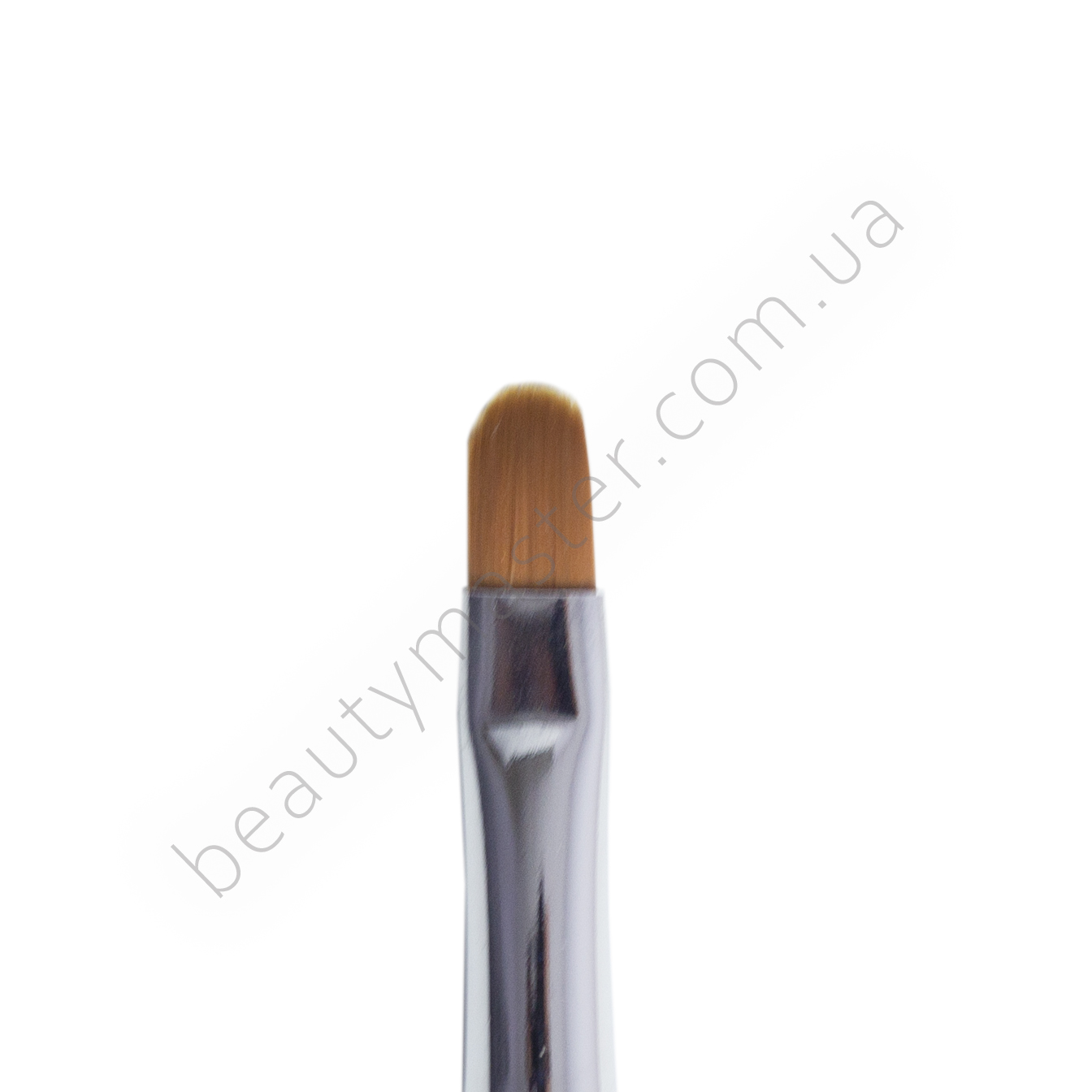 Cosmetic brushes and best sale accessories