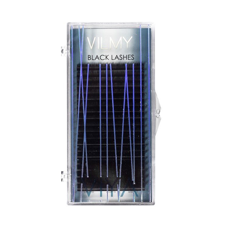 VILMY Black eyelashes 20 lines VIYA L, 0.07, mix (6-10)