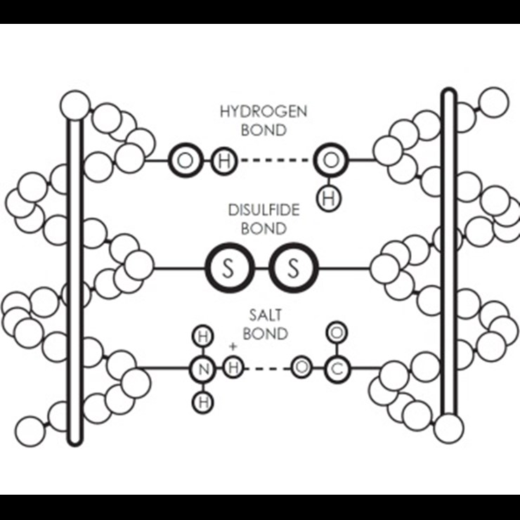 Hair Bond 1