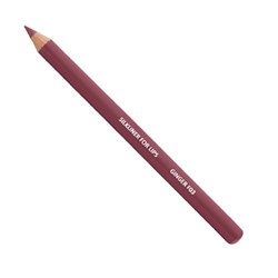 Lápiz labial Silkliner GINGER F03