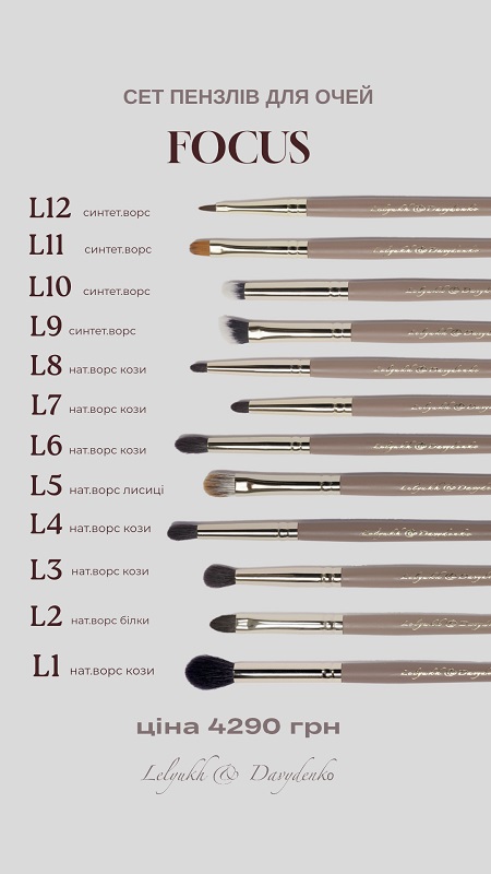 DAVYDENKO BEAUTY & Lelyukh Набор из 12 кистей FOCUS для макияжа глаз