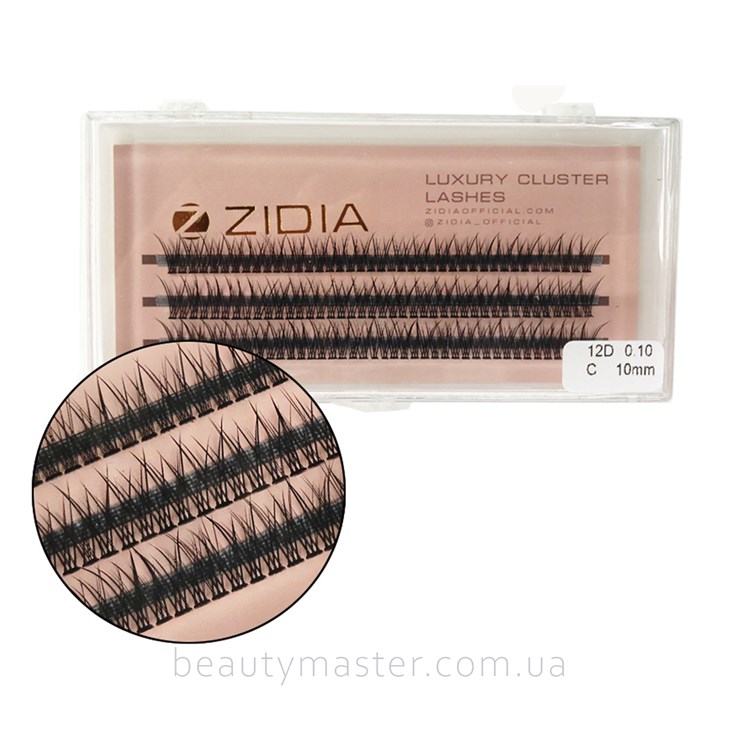 ZIDIA Fish Tail 12D bend C eyelash bundles; 0.10 (3 ribbons, size 10mm)