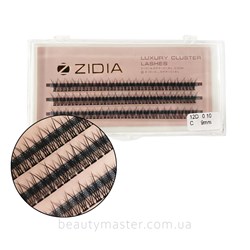 ZIDIA Fish Tail 12D bend C; 0.10 (3 ribbons, size 9mm)