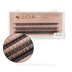 ZIDIA Ресницы пучки Fish Tail 12D изгиб С;0.10 Mix(3 ленты,8,10,12mm)