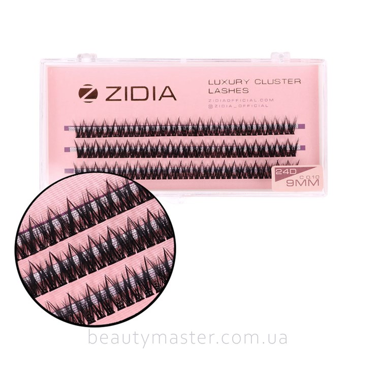 ZIDIA Fish Tail 24D bend C; 0.10 (3 ribbons, size 9 mm)