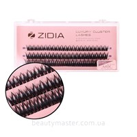ZIDIA Ресницы Fish Tail 24D mix 8,10,12mm пучки C 0.10