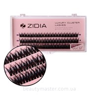 ZIDIA Ресницы пучки Fish Tail 24D изгиб С; 0.10 Mix M (3 ленты, 9, 10, 11 mm)