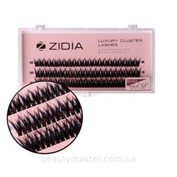 ZIDIA Fish Tail 24D bend C;0.10 Mix M(3 ribbons, 9,10,11)