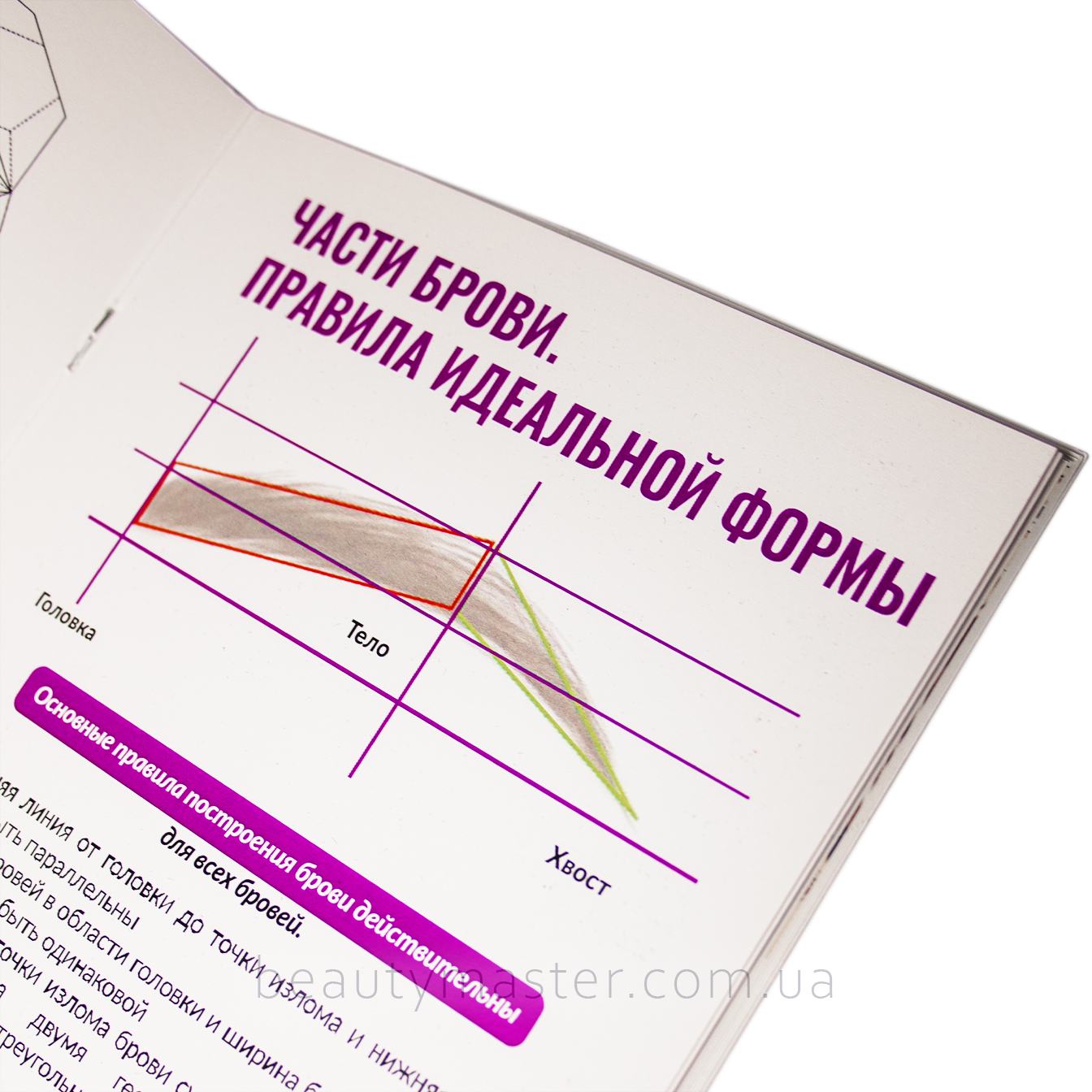 AntuOne Методическое пособие