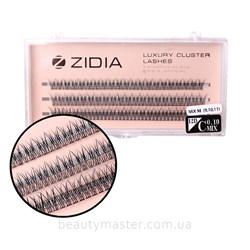 ZIDIA Fish Tail 12D bend C;0.10 Mix M(3 ribbons,9,10,11mm)