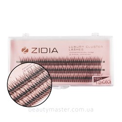 ZIDIA Fish Tail 12D bend C; 0.10 (3 ribbons, 12 mm)