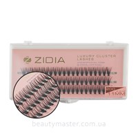ZIDIA Eyelash Cluster lashes 20D 11mm bundles C 0.10