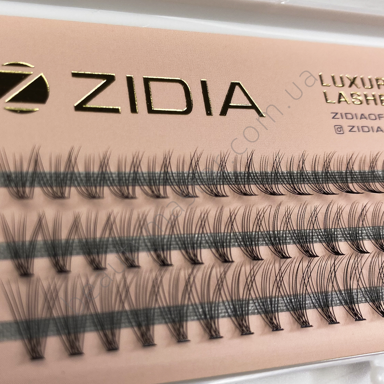 ZIDIA Вії пучки 10D вигин C; 0.10 Mix М (3 стрічки, розмір 9, 10, 11 мм)