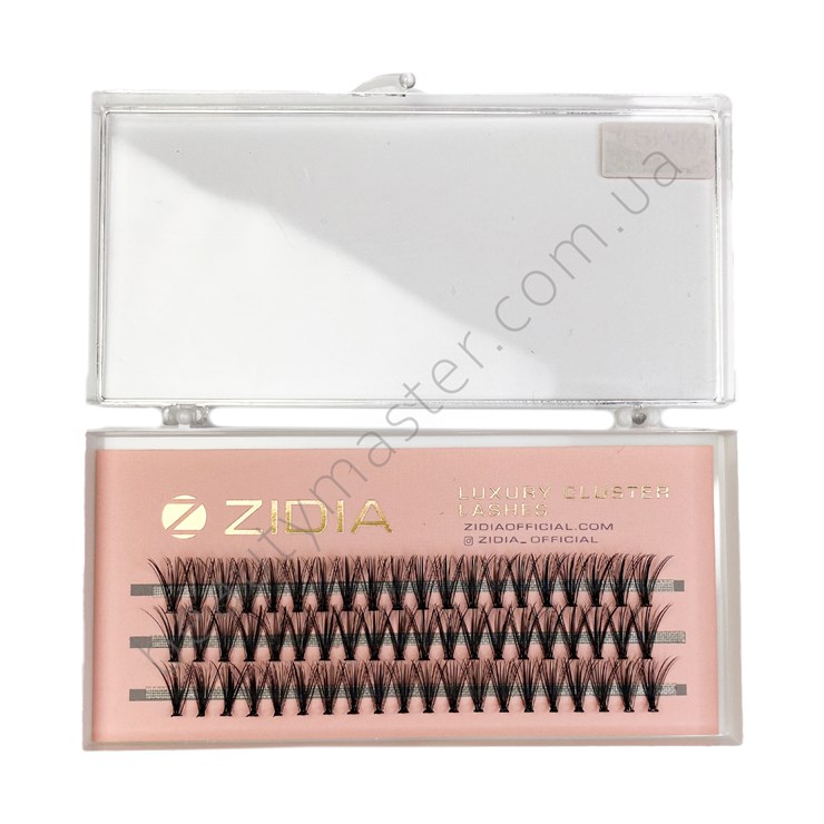 ZIDIA Eyelash bundles 20D bend C; 0.10 (3 ribbons, size 12 mm)