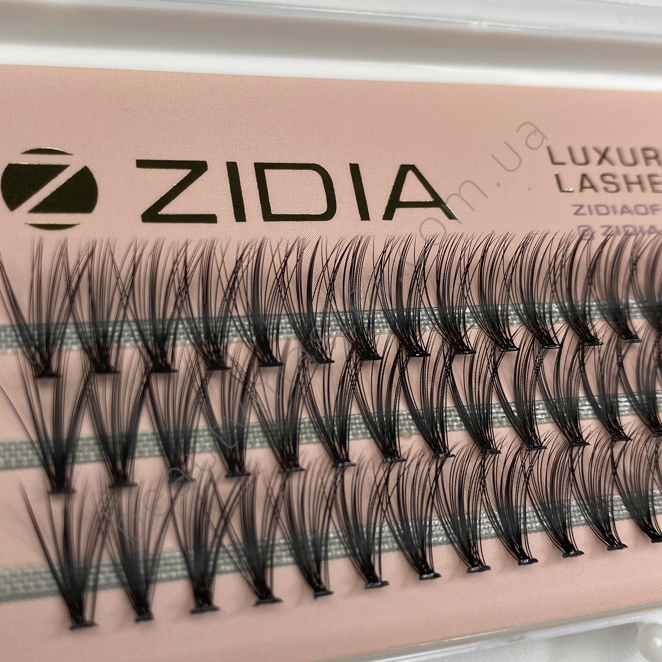 ZIDIA Ресницы пучки 20D изгиб C; 0.10 (3 ленты, размер 12 mm)