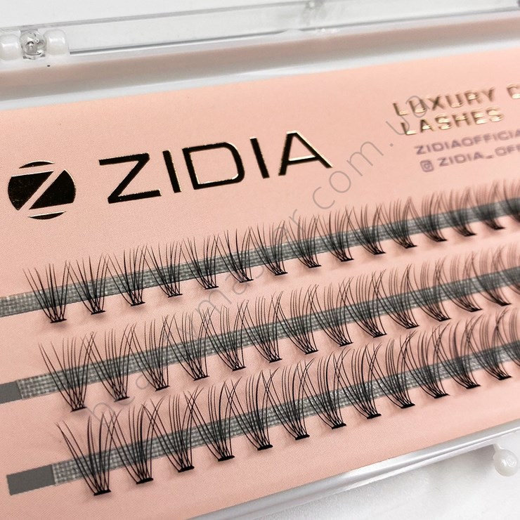 ZIDIA Eyelash bundles 10D bend C; 0.10 (3 ribbons, size 10 mm)