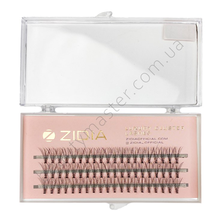 ZIDIA Eyelash bundles 10D bend C; 0.10 (3 ribbons, size 12 mm)
