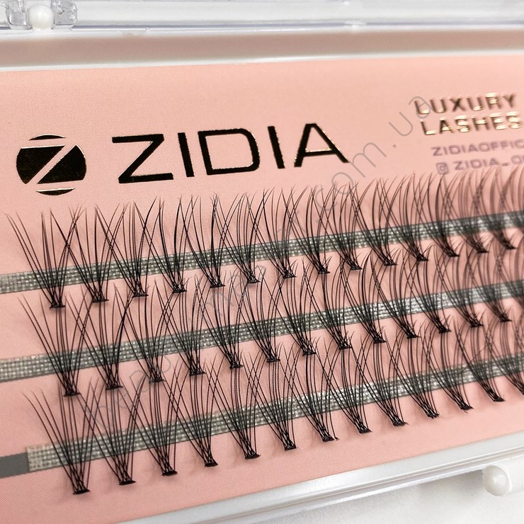 ZIDIA Eyelash bundles 10D bend C; 0.10 (3 ribbons, size 12 mm)