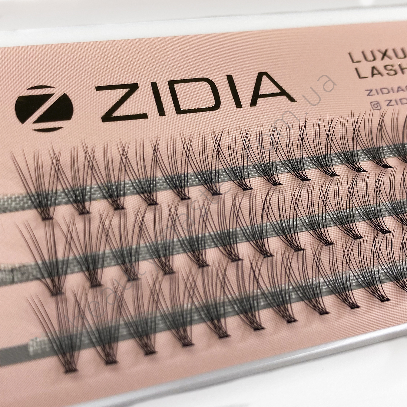Zidia Ресницы пучки Cluster lashes 10D изгиб C; 0,10 (3 ленты, размер 11 mm)