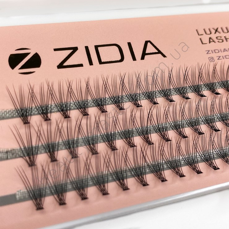ZIDIA Eyelash bundles 10D bend C; 0.10 (3 ribbons, size 11 mm)
