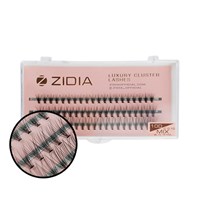 Zidia Eyelash bundles Cluster lashes 10D curl C; 0.10 Mix (3 tapes, size 8, 10, 12 mm)
