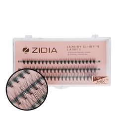 ZIDIA Eyelash bundles 10D bend C; 0.10 Mix (3 ribbons, size 8,10,12mm)