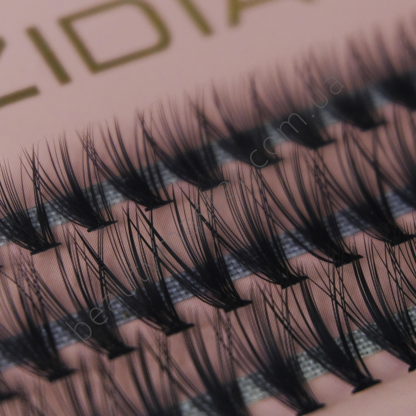 ZIDIA Eyelash bundles 20D bend C; 0.10 Mix(3 ribbons, size 8, 10, 12mm)