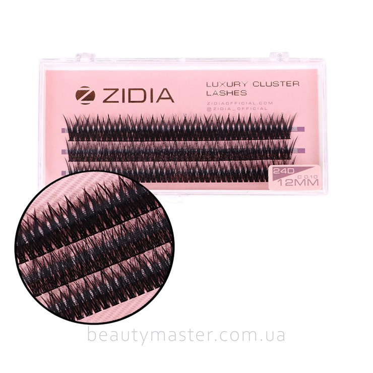 ZIDIA Fish Tail 24D bend C; 0.10 (3 ribbons, size 12mm)