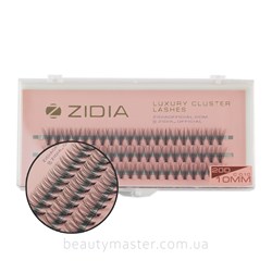 ZIDIA Eyelash bundles 20D bend C; 0.10 (3 ribbons, size 10 mm)
