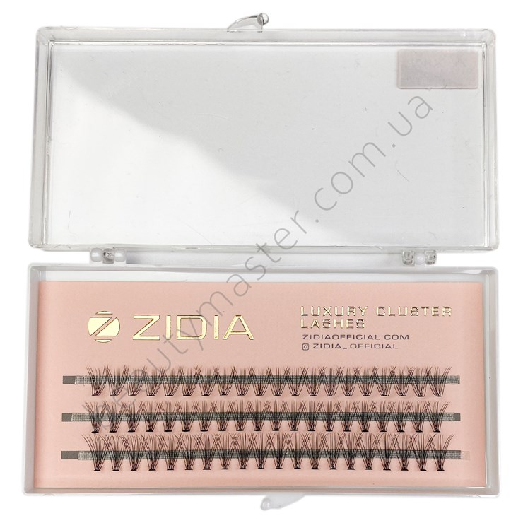 ZIDIA Eyelash bundles 10D bend C; 0.10 Mix M (3 ribbons, size 8, 9, 10 mm)